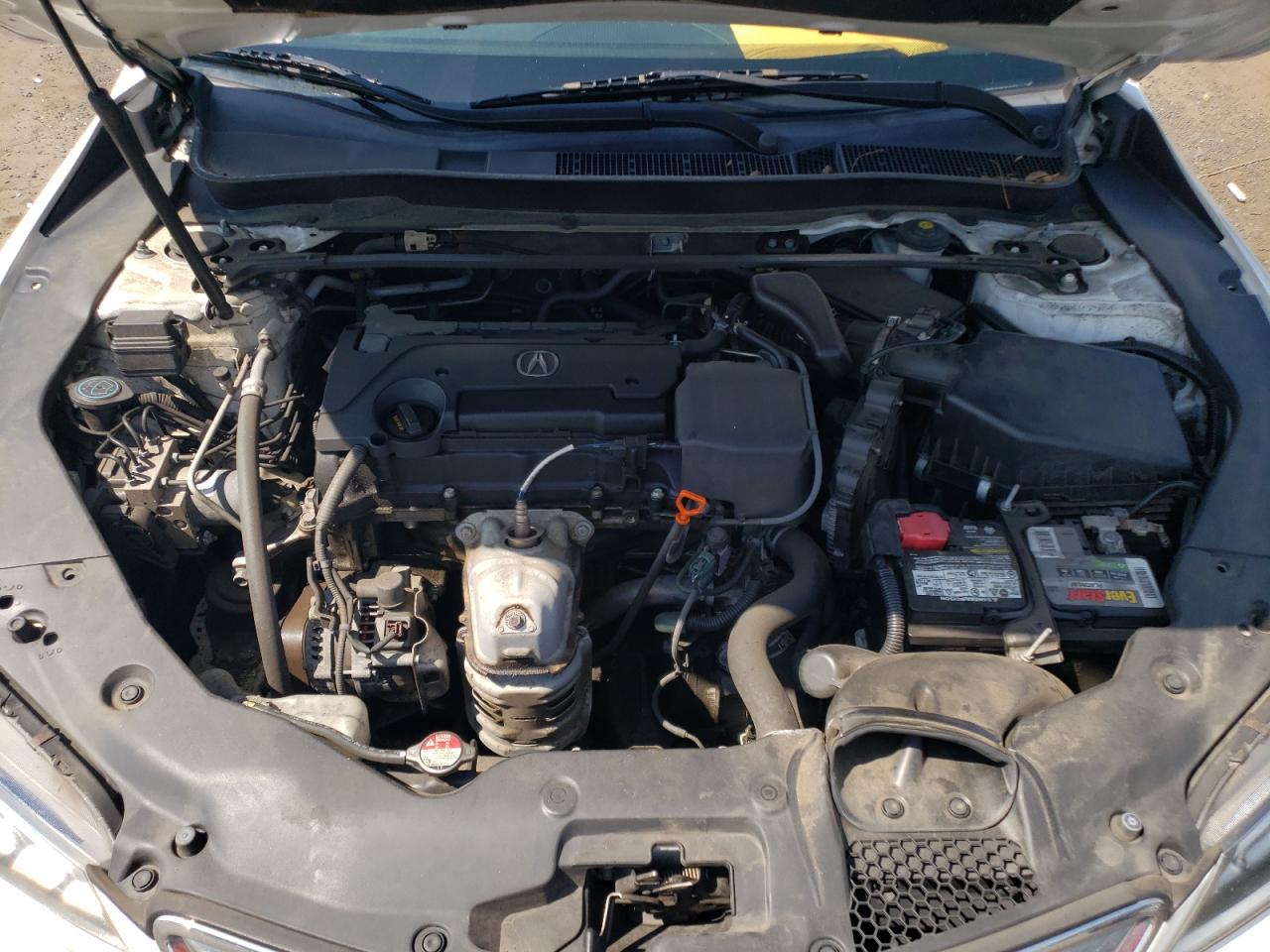 2015 Acura Tlx VIN: 19UUB1F38FA012873 Lot: 61998614