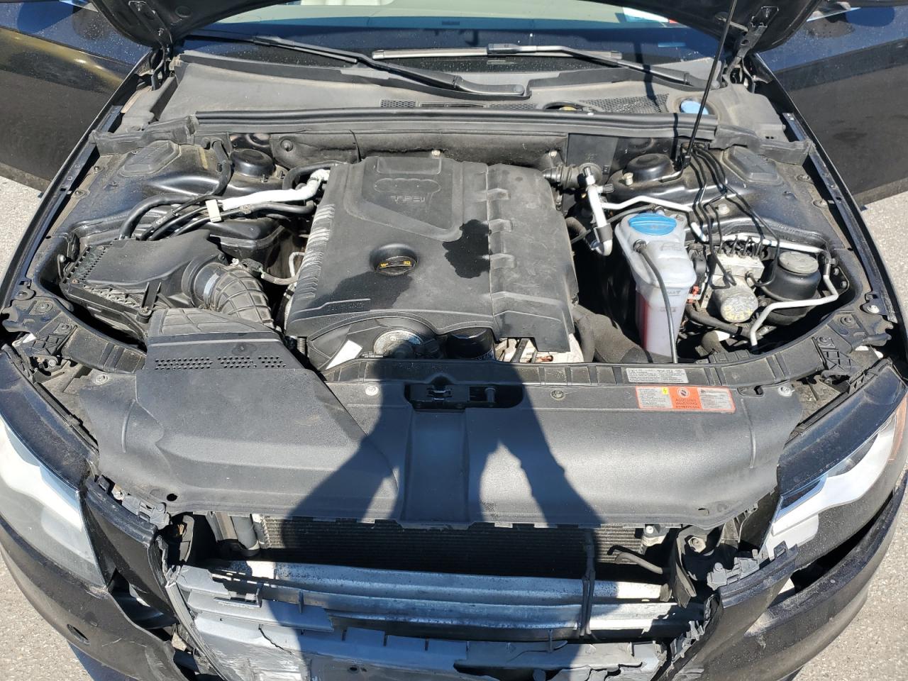 2009 Audi A4 Premium Plus VIN: WAUSF78K69N033426 Lot: 62446674