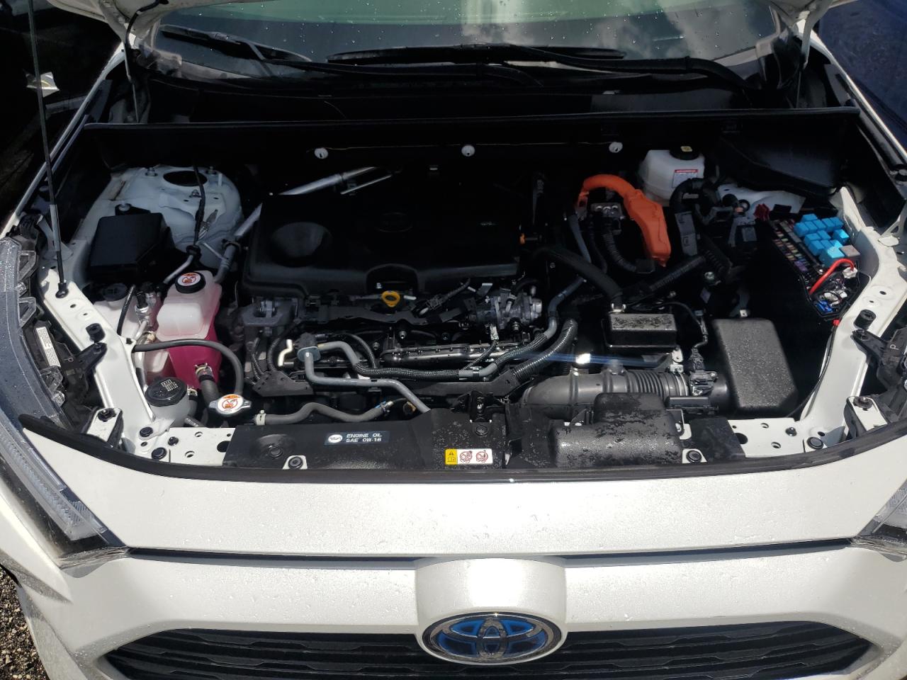 2022 Toyota Rav4 Se VIN: JTM16RFV6NJ018921 Lot: 63151634