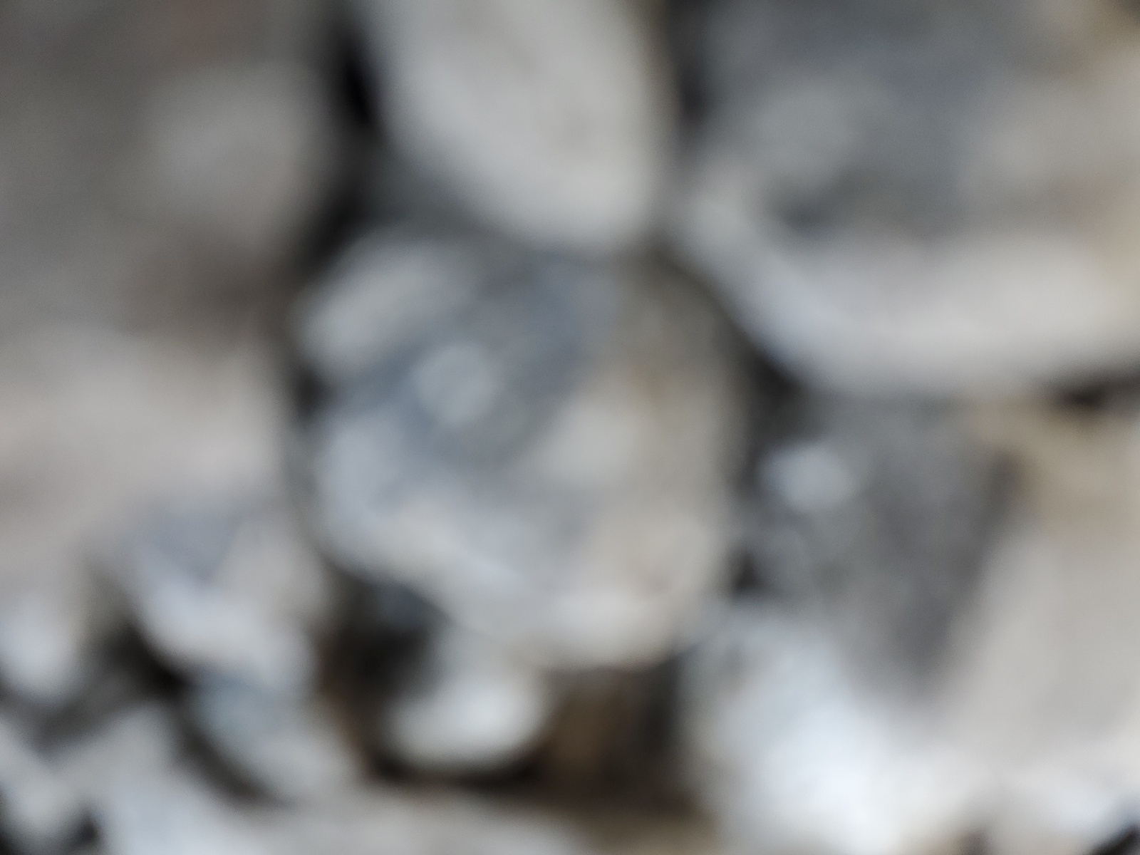 2G1WG5E36C1216068 2012 Chevrolet Impala Lt