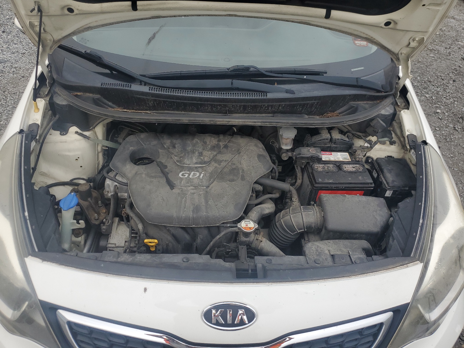 KNADN4A38D6121362 2013 Kia Rio Ex