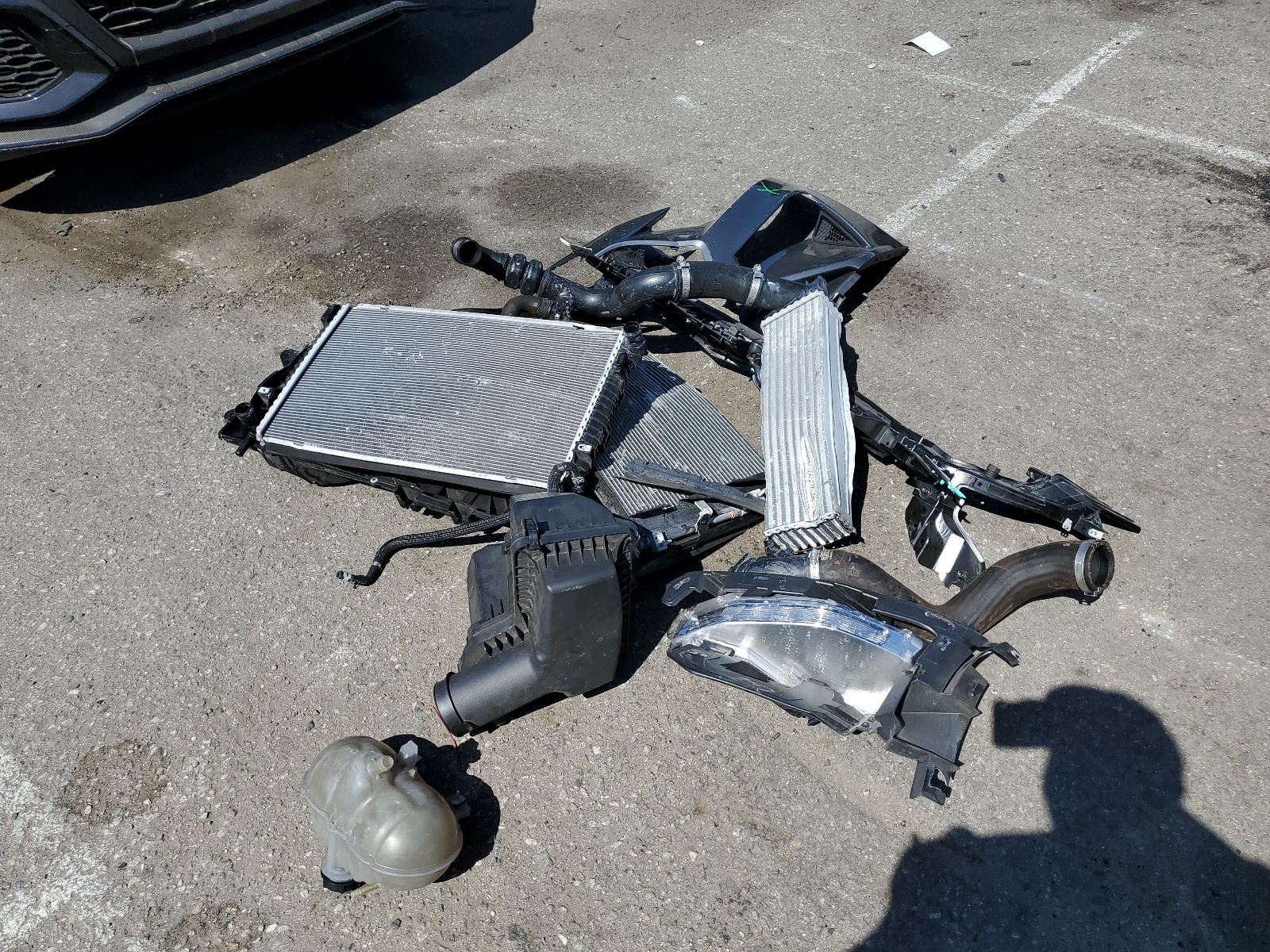 1FA6P8TH8N5123003 2022 Ford Mustang