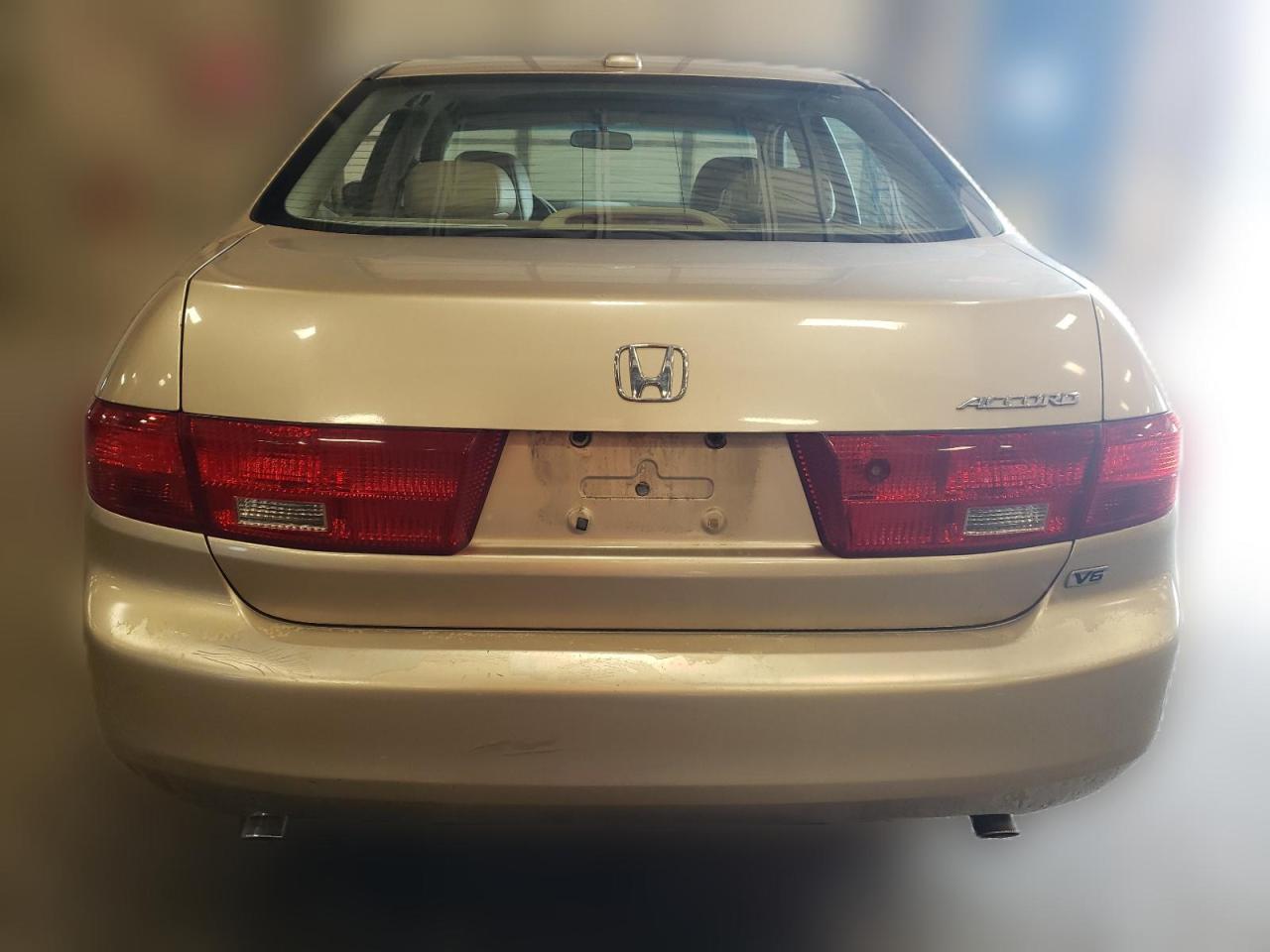 2005 Honda Accord Ex VIN: 1HGCM66585A007448 Lot: 64304144