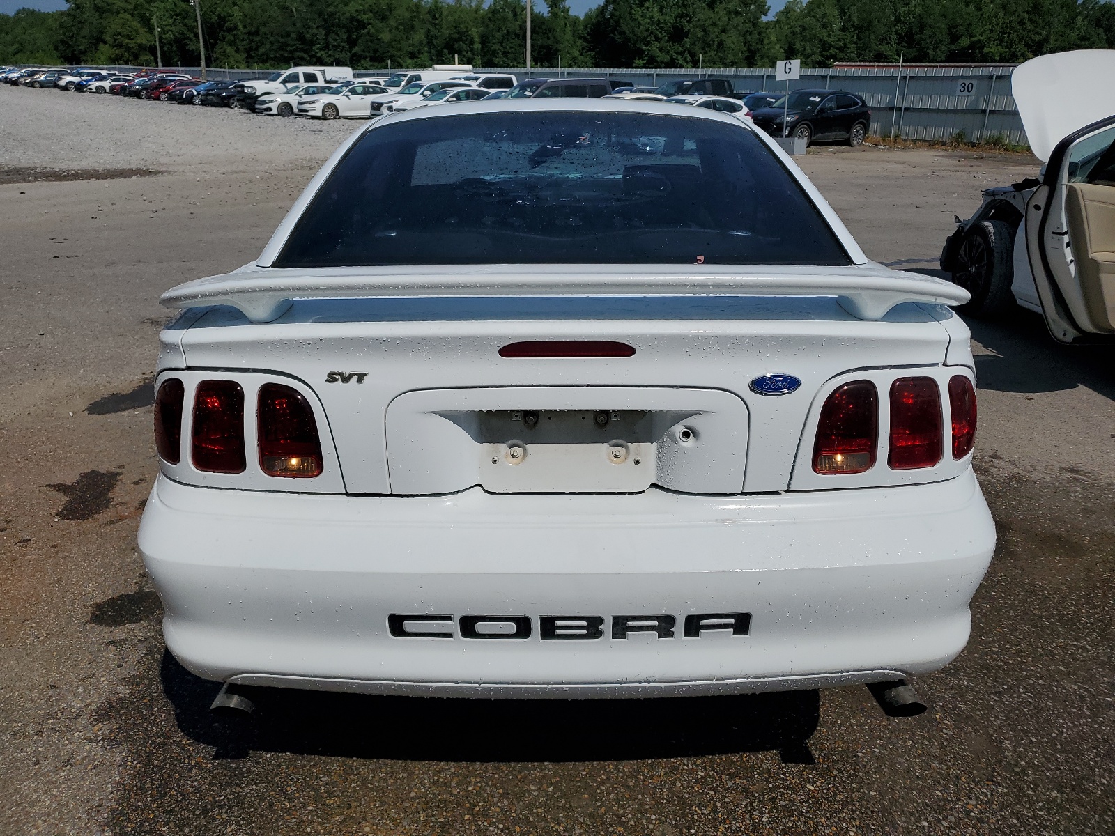 1FALP47V9VF162561 1997 Ford Mustang Cobra
