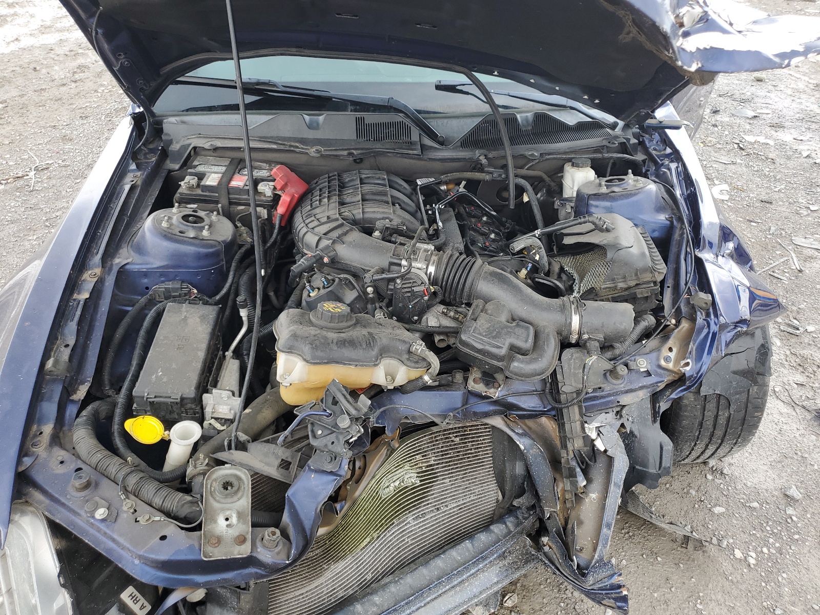 1ZVBP8AM8C5250949 2012 Ford Mustang