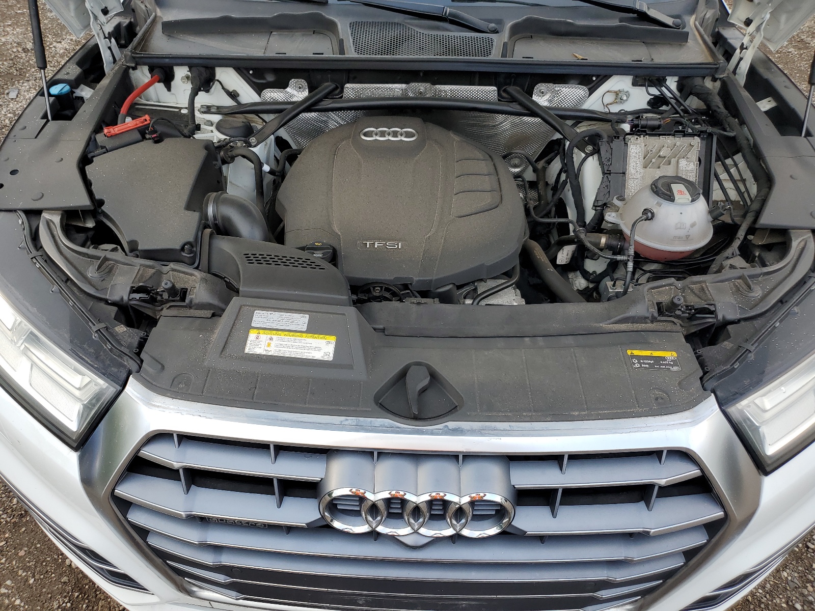 WA1FNAFY5K2047881 2019 Audi Q5 Technik S-Line