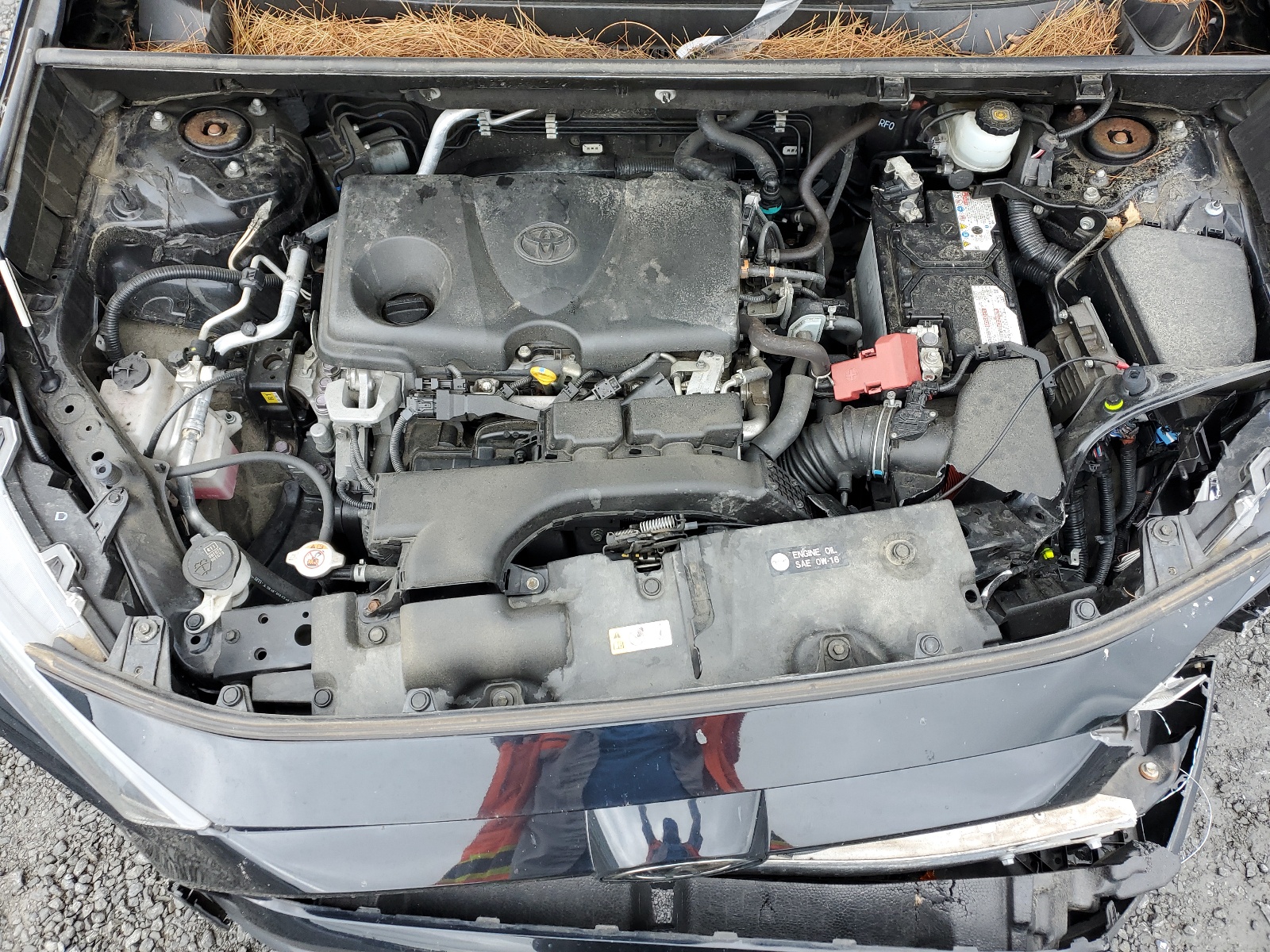 JTMF1RFVXKJ016749 2019 Toyota Rav4 Le