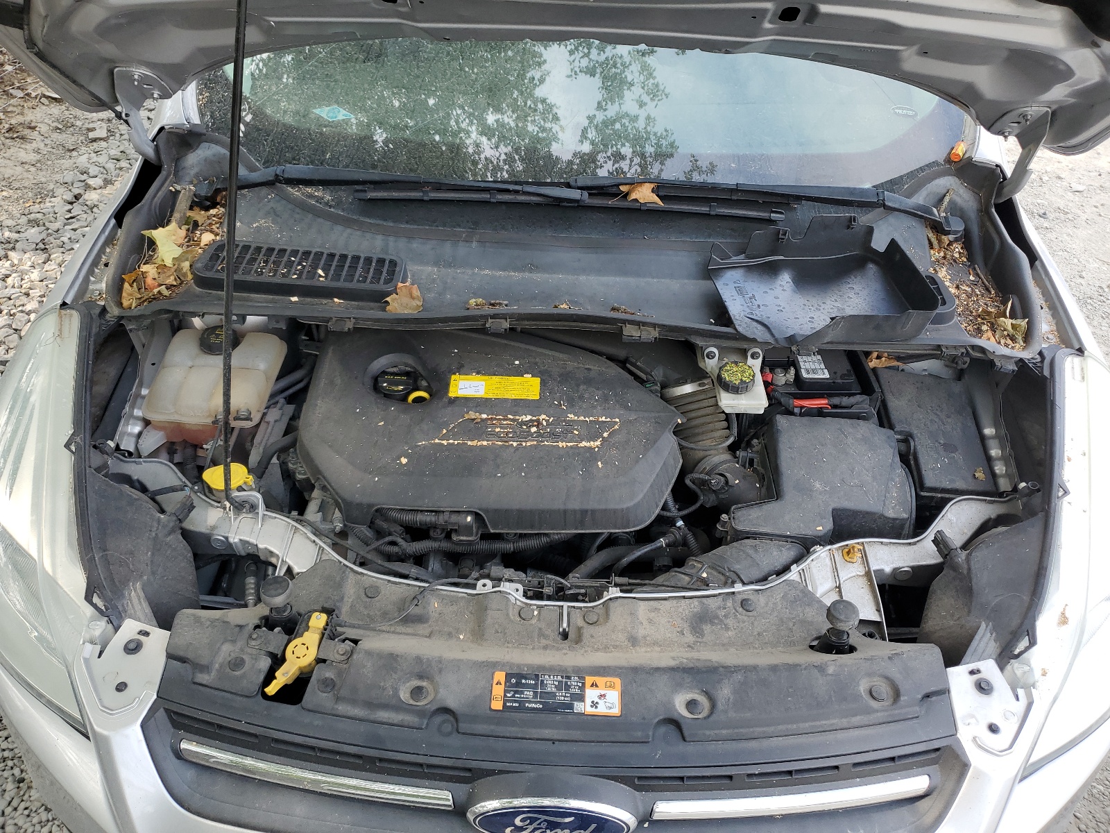 1FMCU9GXXGUB06558 2016 Ford Escape Se