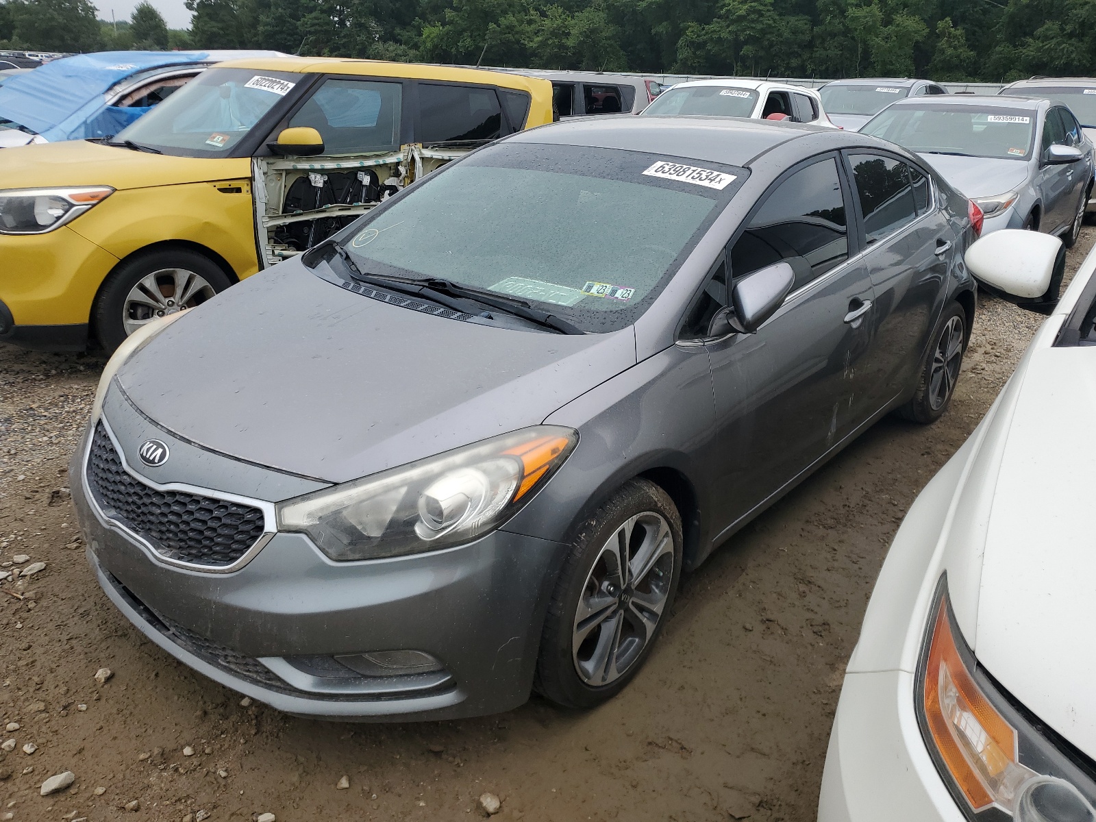 2014 Kia Forte Ex vin: KNAFX4A84E5155577