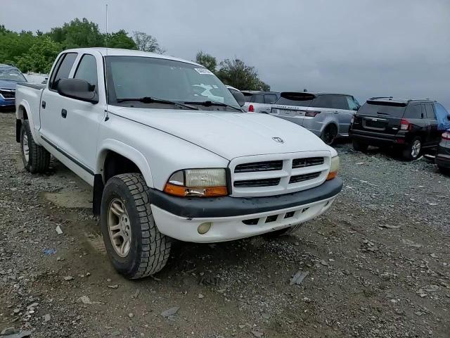 2002 Dodge Dakota Quad Sport VIN: 1B7HG38N62S619614 Lot: 64091934