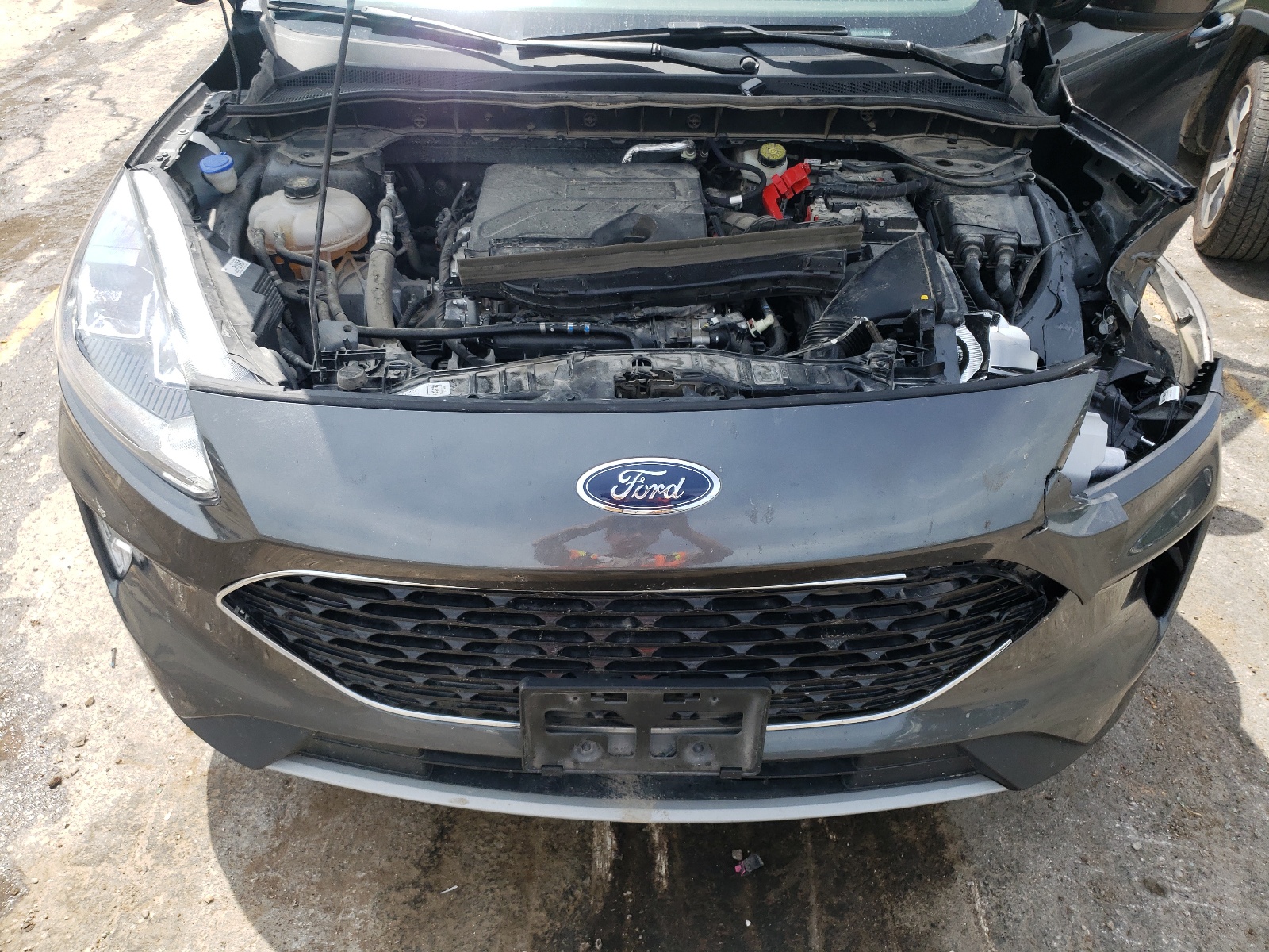 1FMCU0H6XLUB24117 2020 Ford Escape Sel