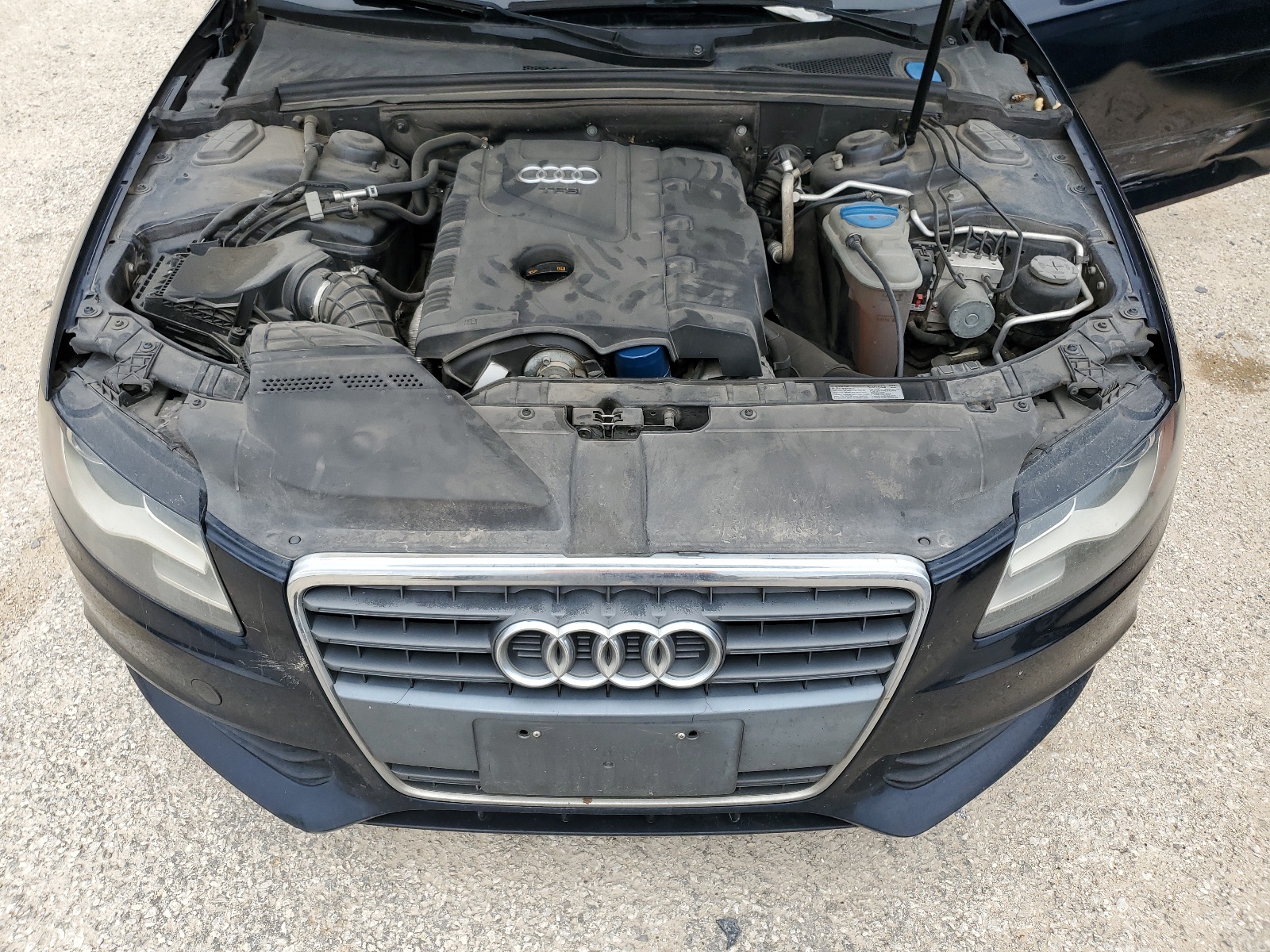 WAUEFAFL8BN038218 2011 Audi A4 Premium Plus