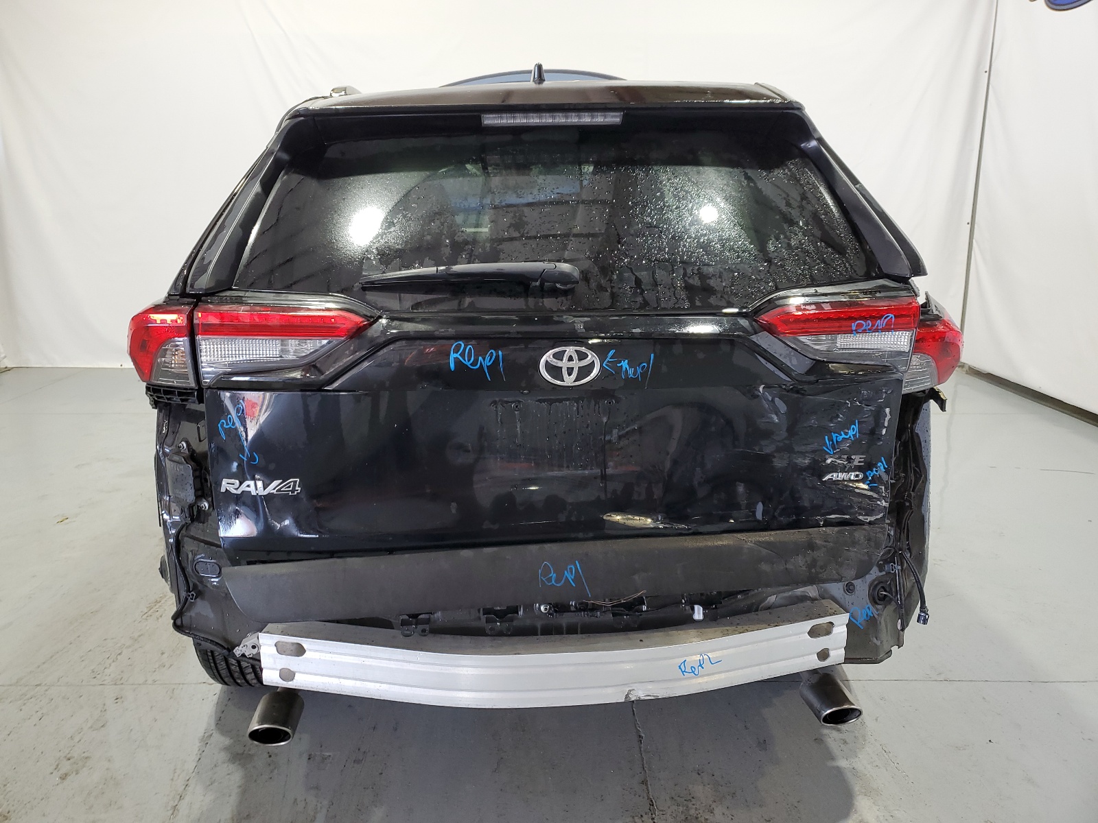 2T3P1RFV3PW344401 2023 Toyota Rav4 Xle
