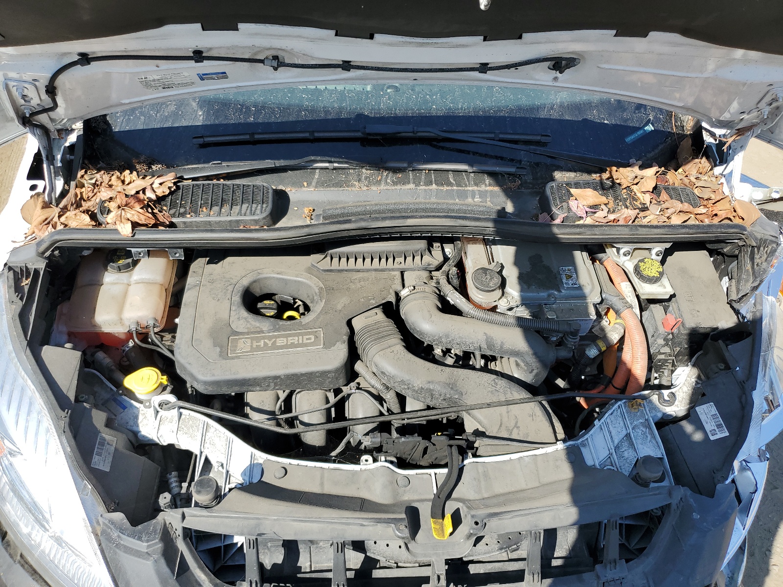 1FADP5AU7JL105541 2018 Ford C-Max Se