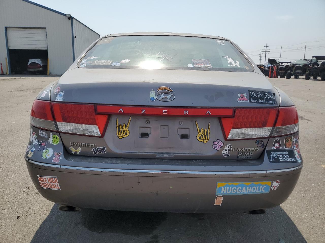 2006 Hyundai Azera Se VIN: KMHFC46F36A123214 Lot: 64274374