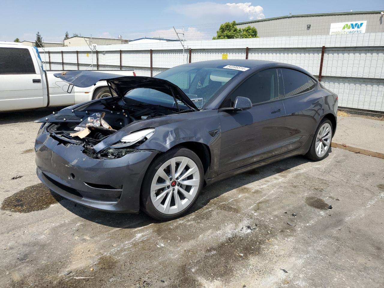 2023 Tesla Model 3 VIN: 5YJ3E1EA5PF569119 Lot: 64595514