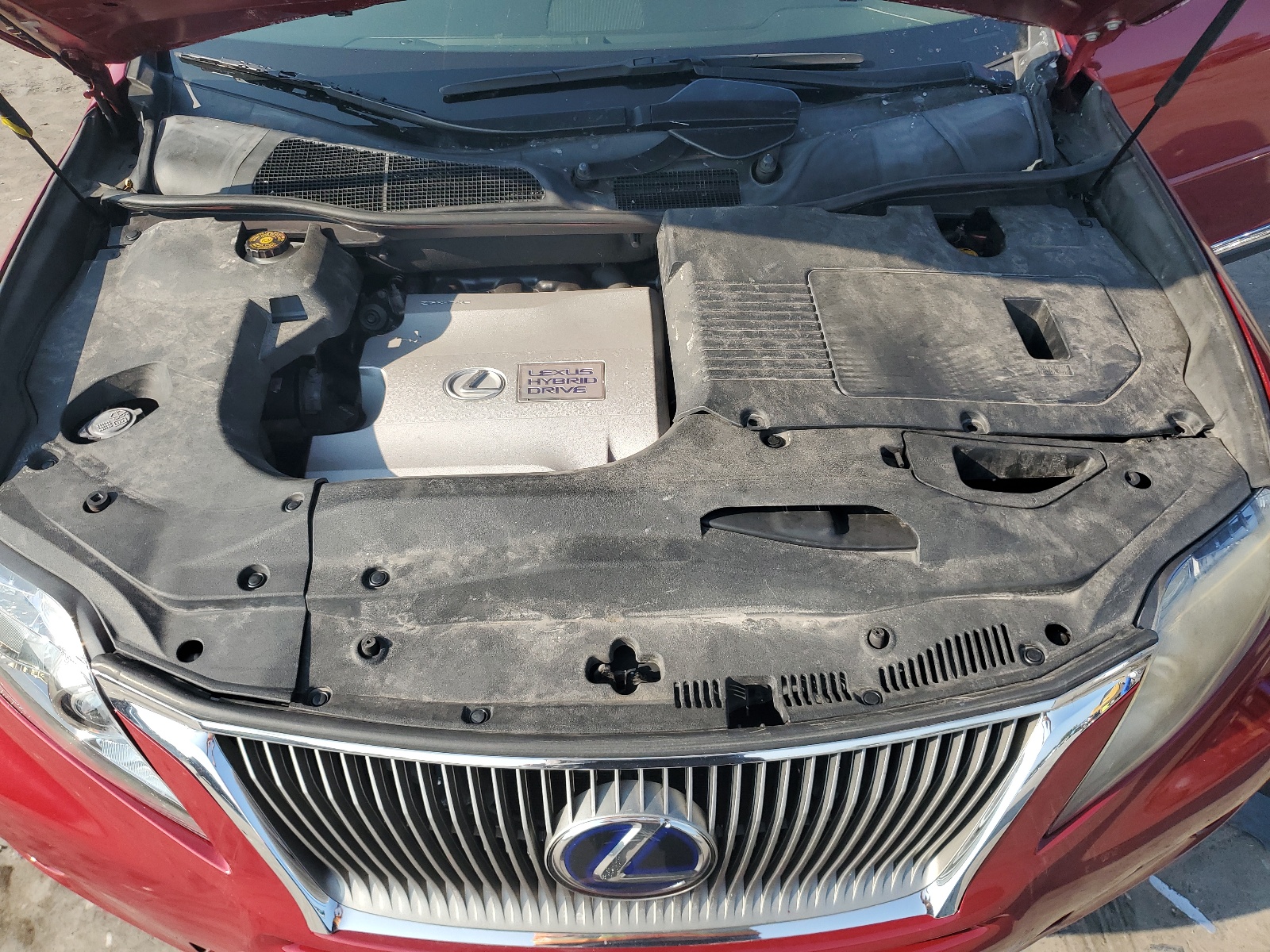 JTJBC1BA4A2026485 2010 Lexus Rx 450