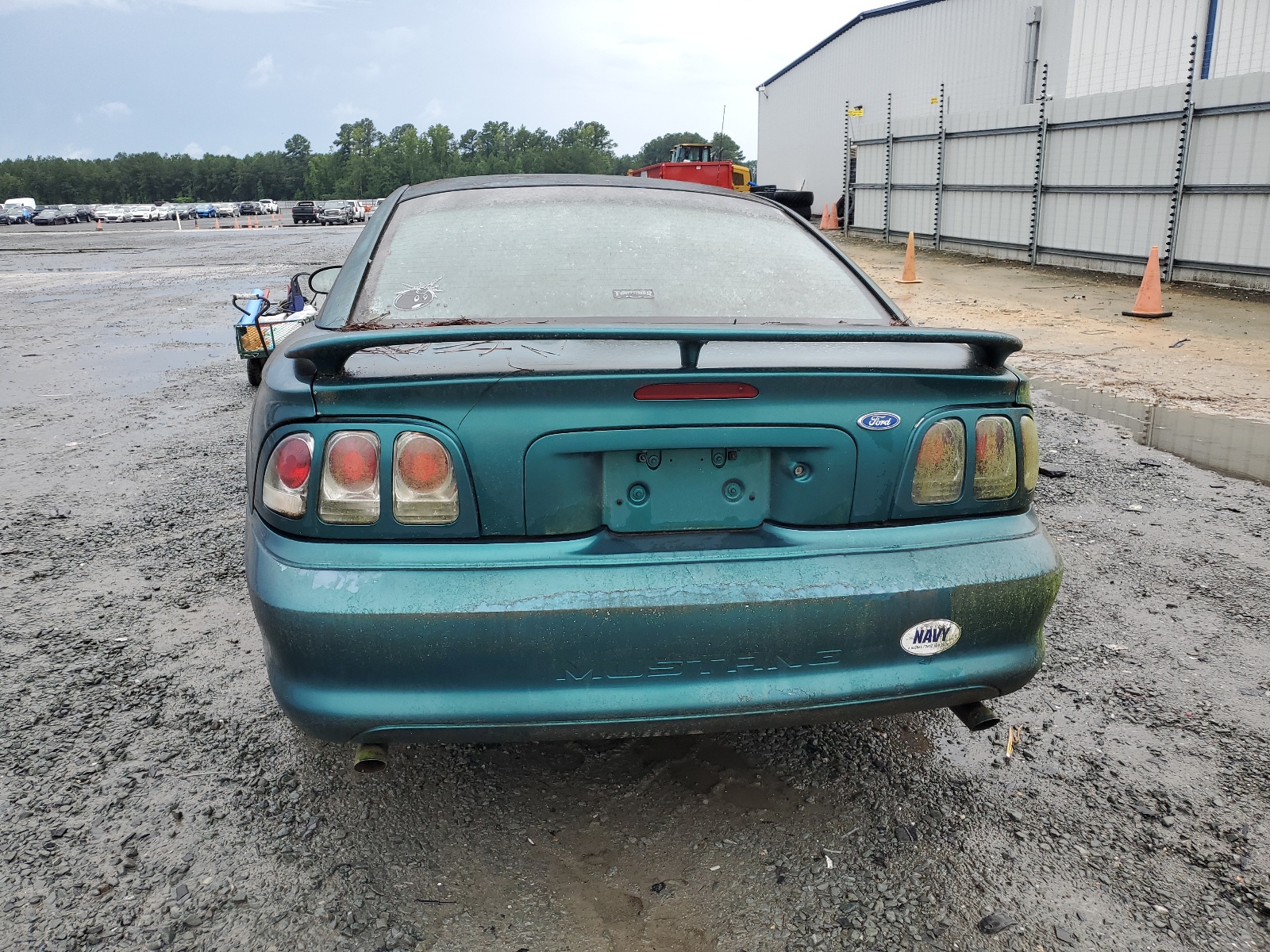 1FALP4041TF101915 1996 Ford Mustang