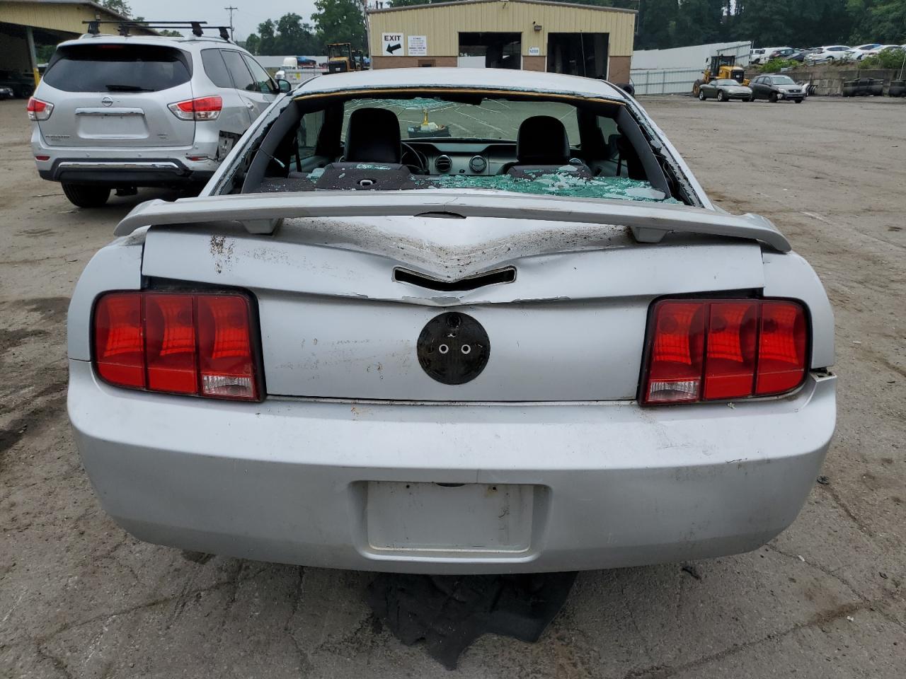 2006 Ford Mustang VIN: 1ZVFT80N065243909 Lot: 61125494