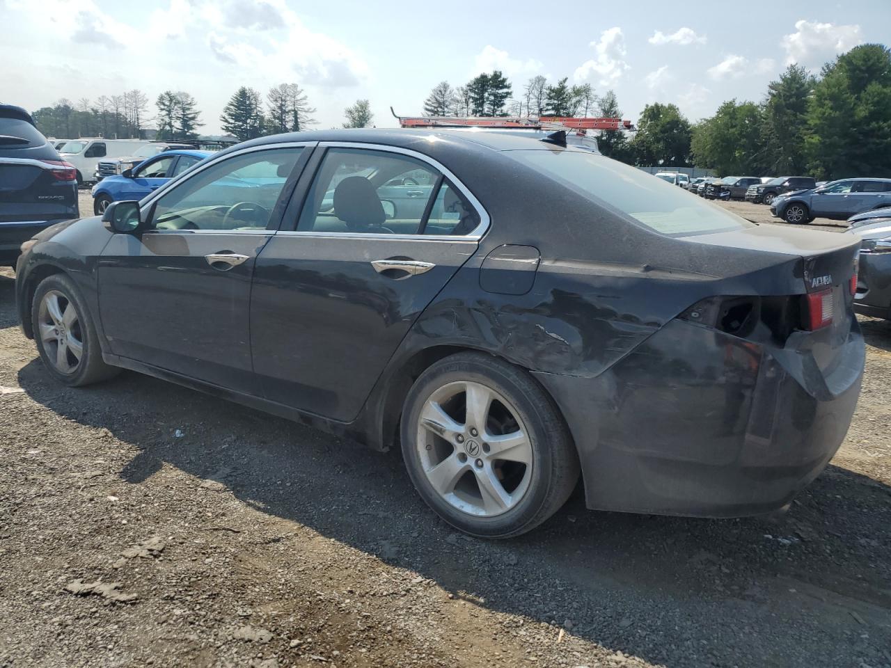 2009 Acura Tsx VIN: JH4CU26679C015260 Lot: 65176944