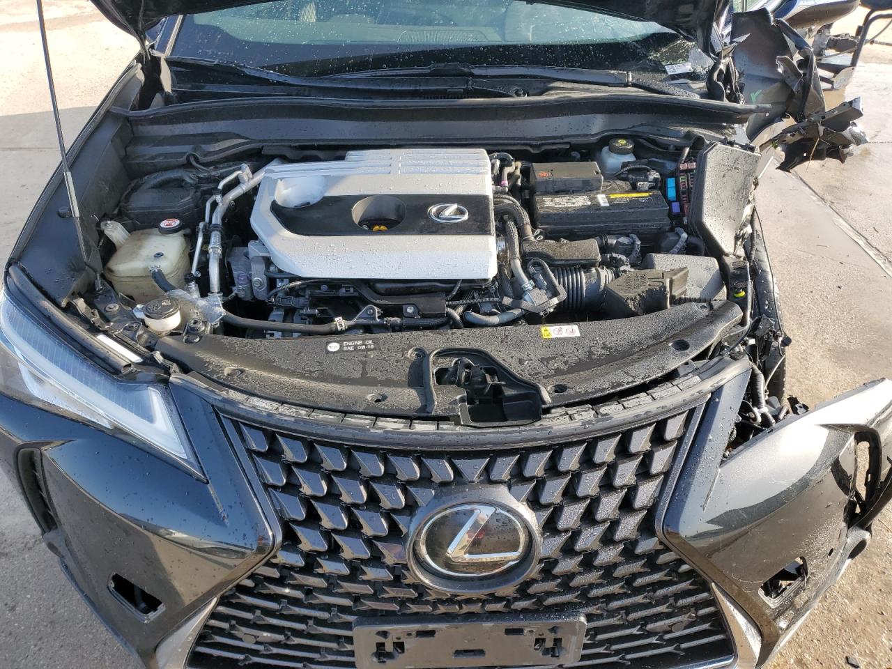 JTHY3JBH9K2000491 2019 Lexus Ux 200