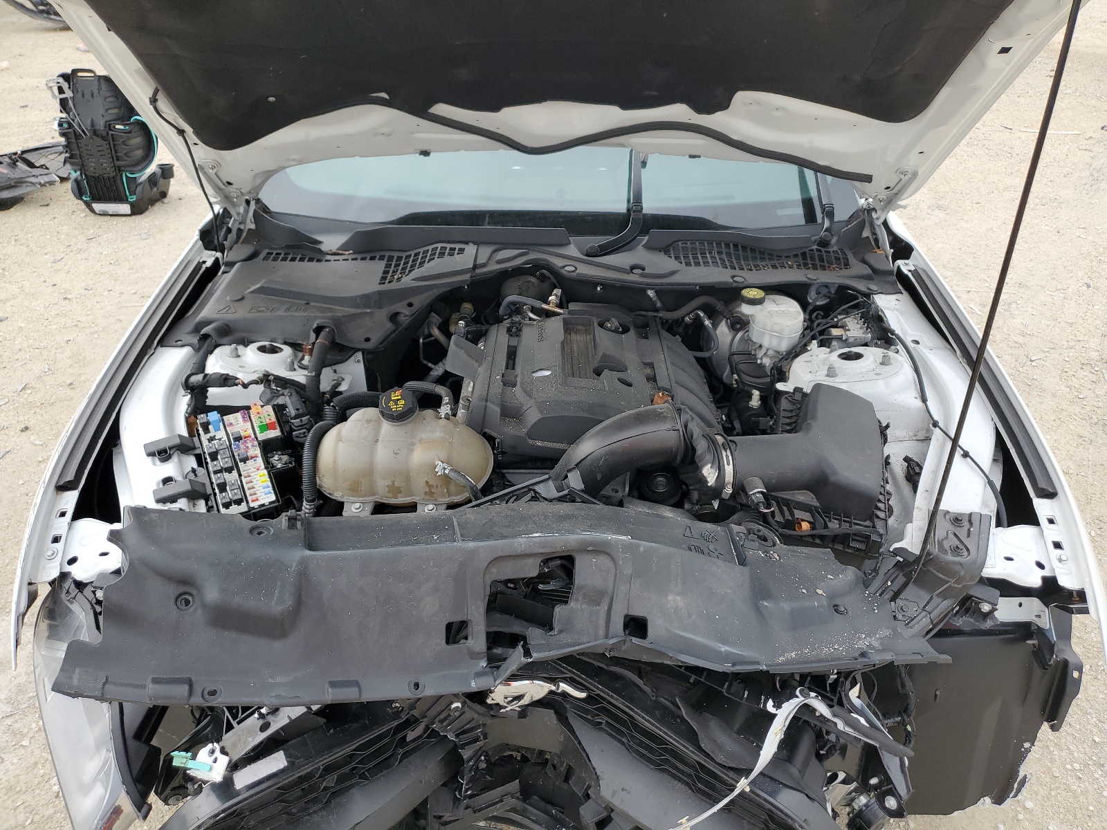 1FA6P8THXK5114783 2019 Ford Mustang