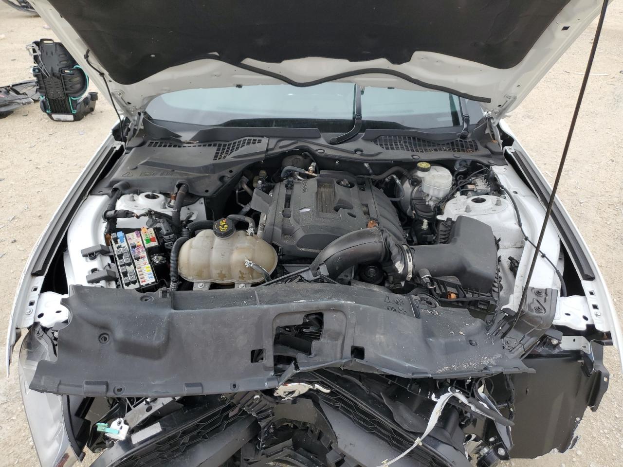 2019 Ford Mustang VIN: 1FA6P8THXK5114783 Lot: 62670754