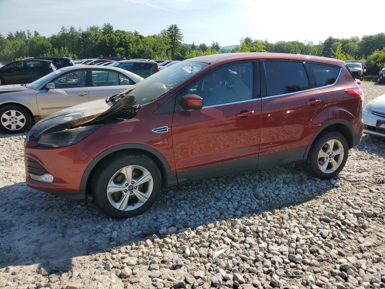 2014 Ford Escape - Image 1