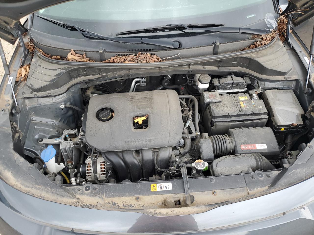 2020 Kia Soul Ex VIN: KNDJ33AU3L7720208 Lot: 61895654