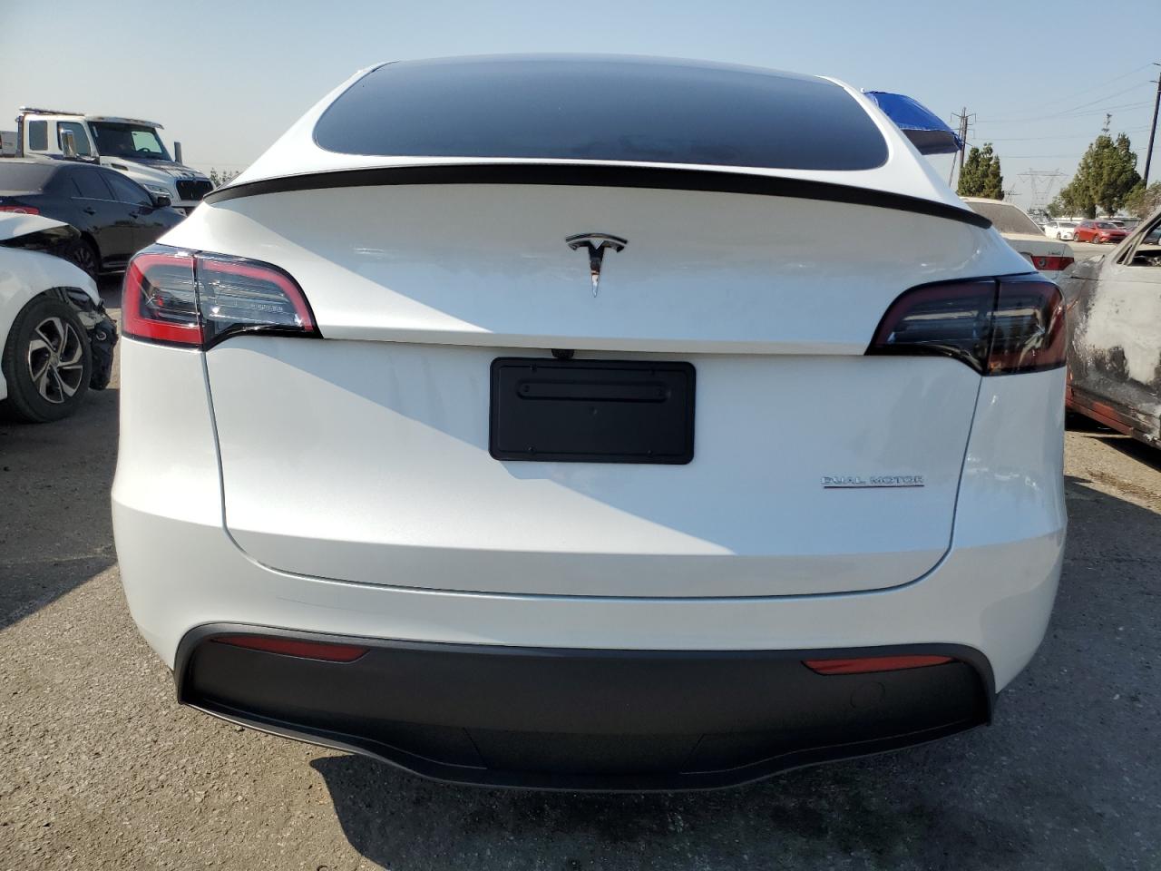 2024 Tesla Model Y VIN: 7SAYGDEF2RF117616 Lot: 64713244
