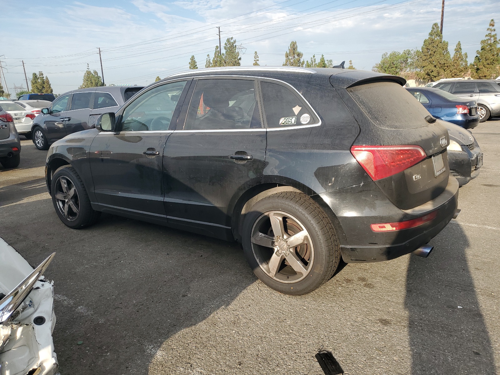 WA1LFAFP0BA005003 2011 Audi Q5 Premium Plus