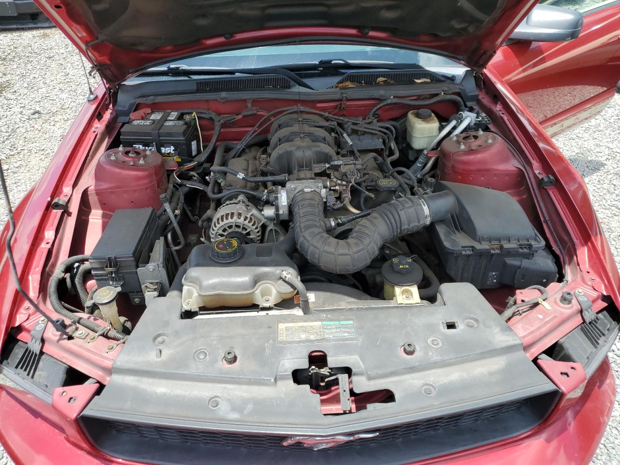 2007 Ford Mustang VIN: 1ZVFT84N075292250 Lot: 63405174