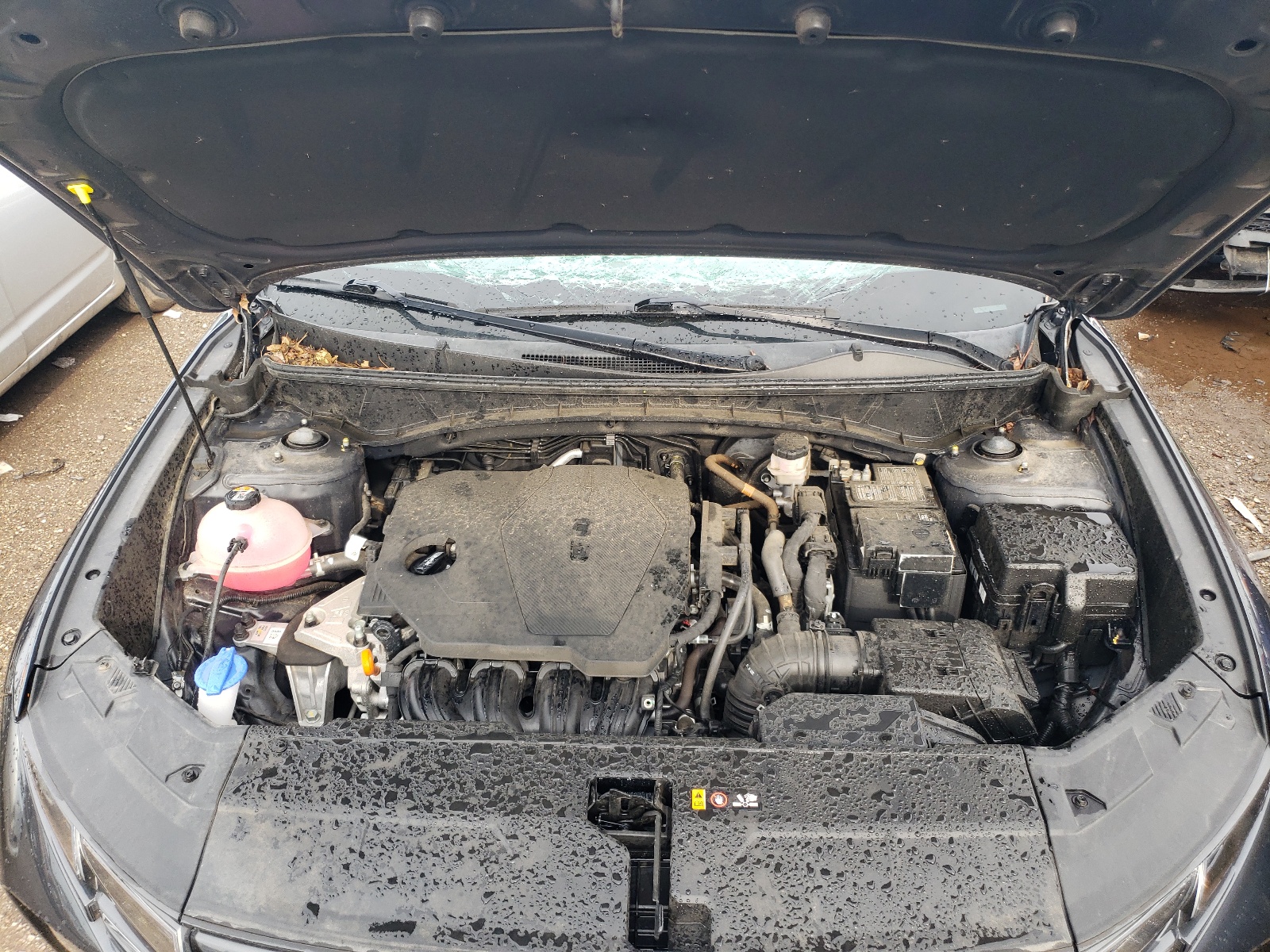 5NMJBCAE9NH018806 2022 Hyundai Tucson Sel