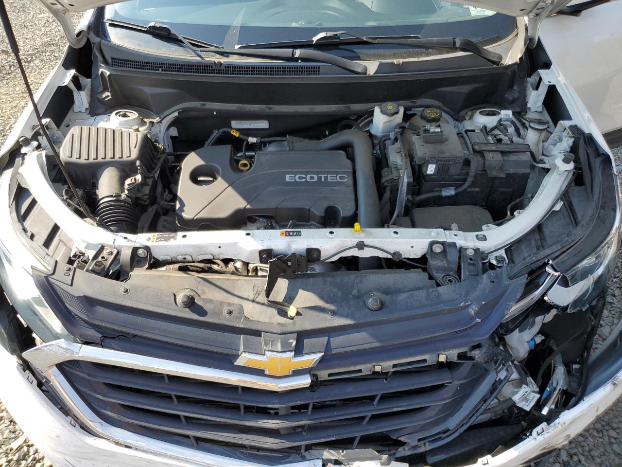 2019 Chevrolet Equinox Lt VIN: 3GNAXKEV4KS506093 Lot: 62238544