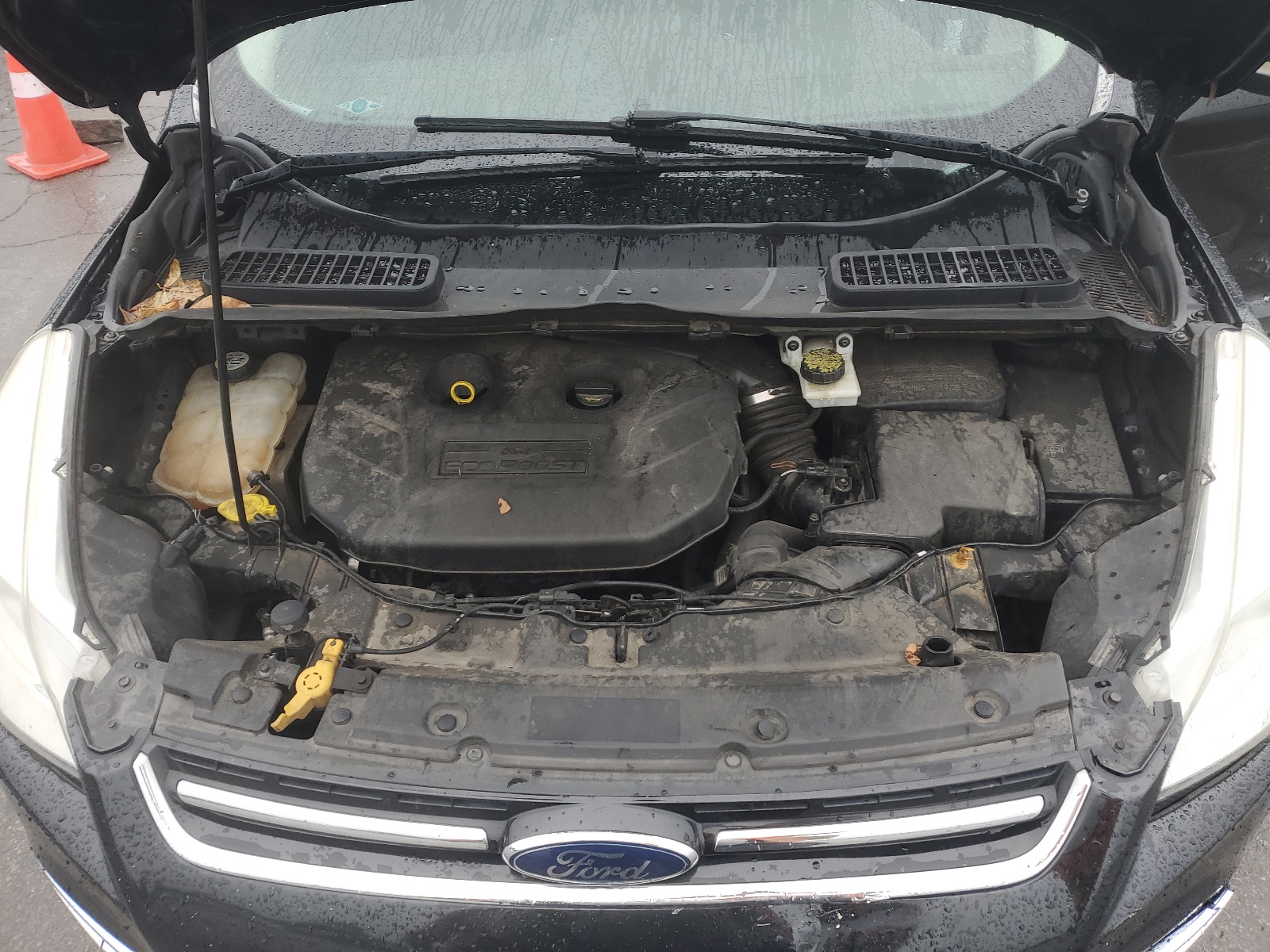 1FMCU9H98DUD88310 2013 Ford Escape Sel