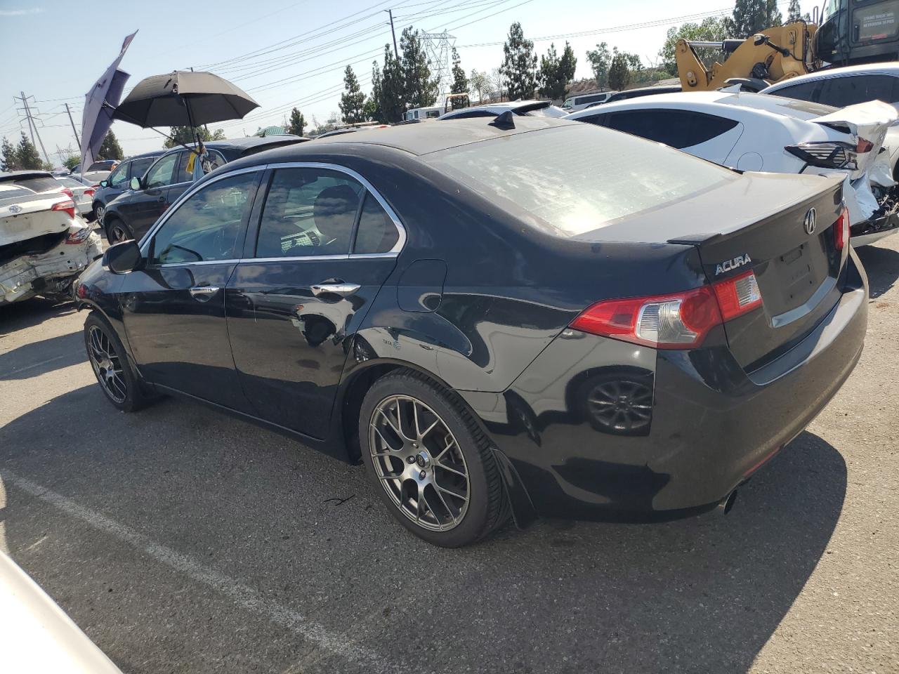 2009 Acura Tsx VIN: JH4CU266X9C034417 Lot: 63321504