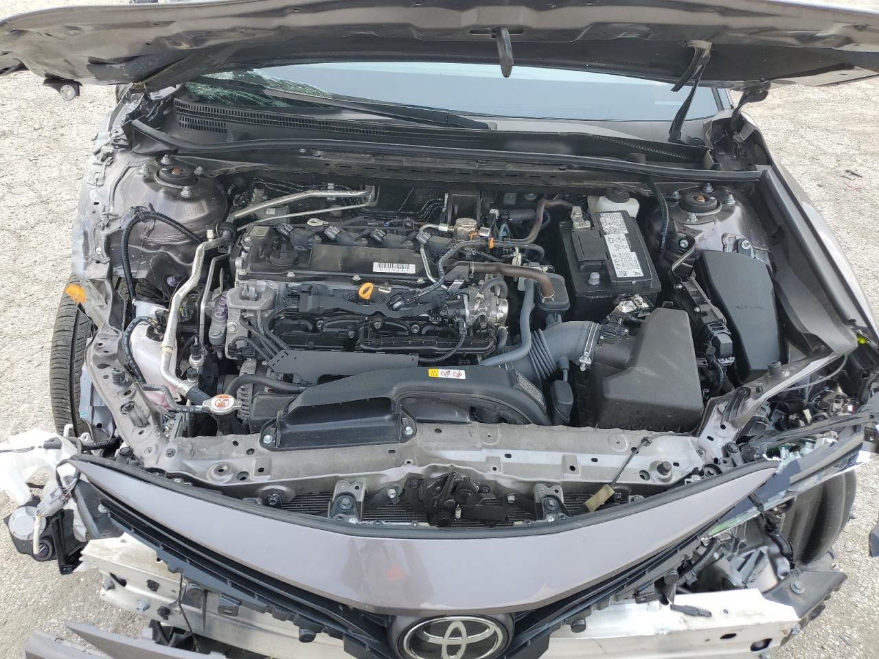 4T1F11BK4PU091641 2023 Toyota Camry Xle