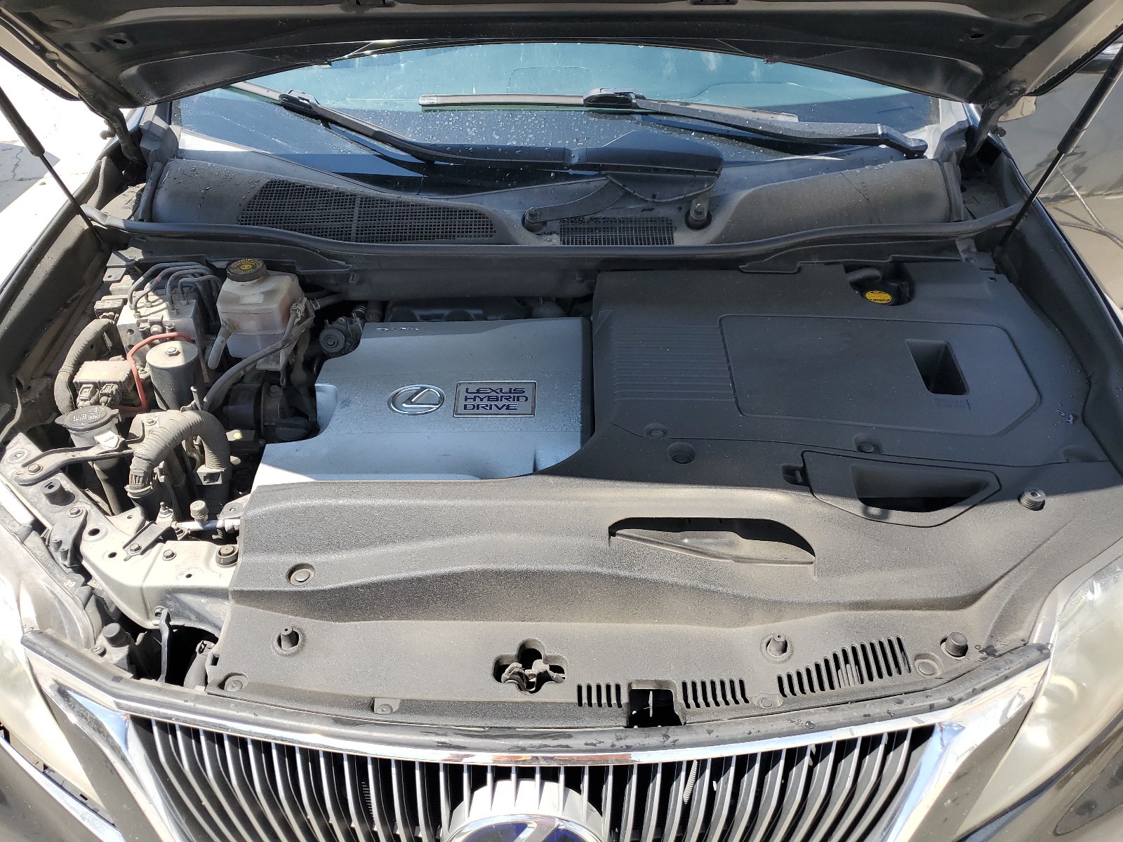 JTJBC1BA9A2016681 2010 Lexus Rx 450