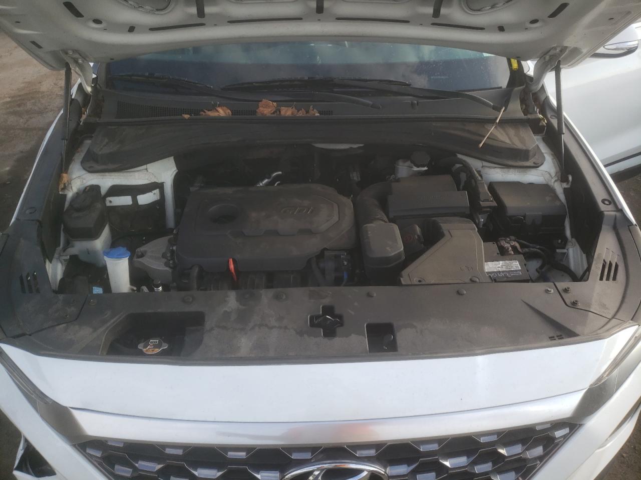 2020 Hyundai Santa Fe Sel VIN: 5NMS3CAD9LH173829 Lot: 63235874