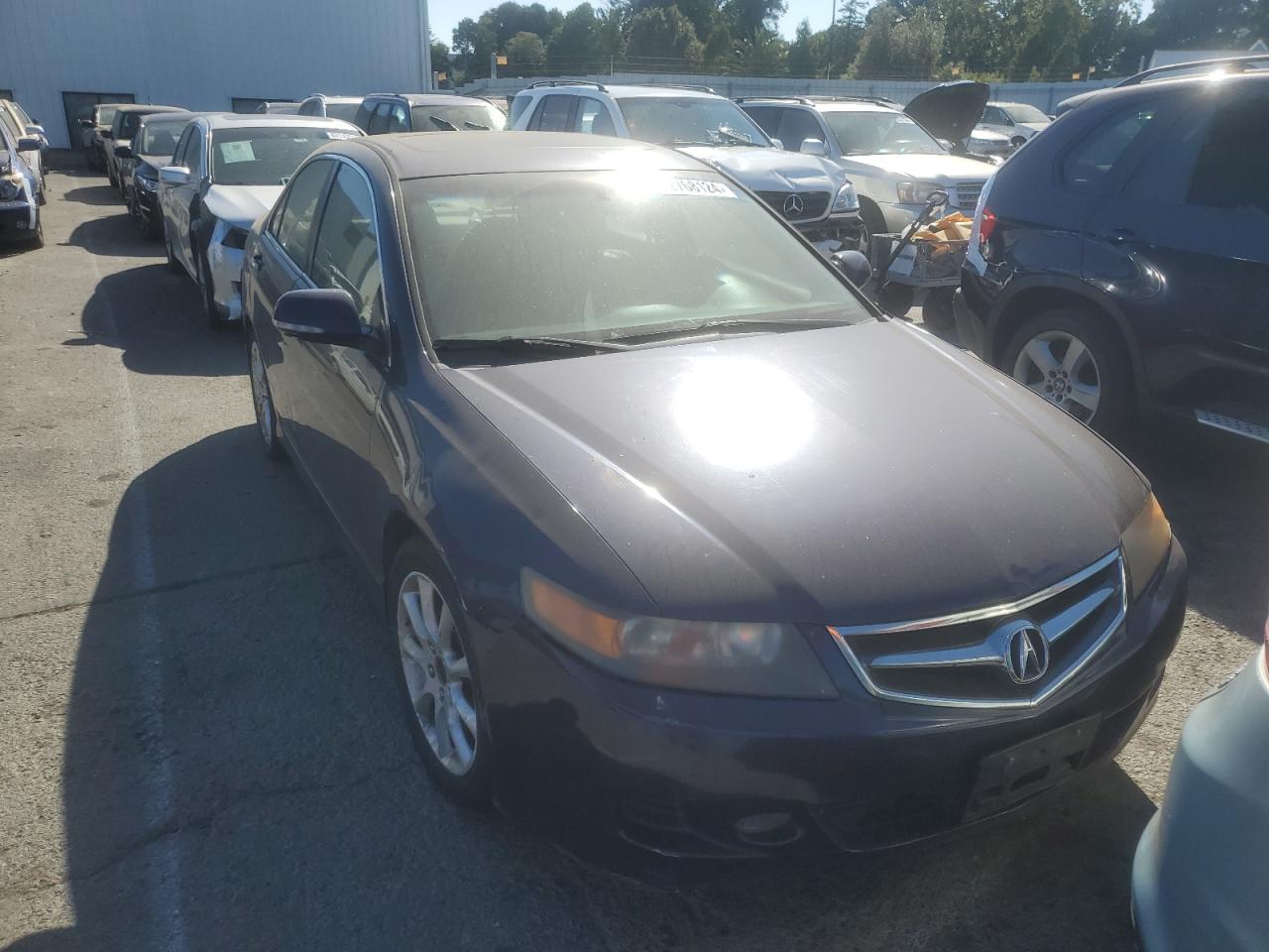2007 Acura Tsx VIN: JH4CL96987C011348 Lot: 62768124