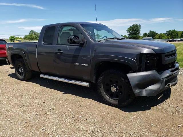 2010 Chevrolet Silverado K1500 VIN: 1GCSKPE35AZ113177 Lot: 61654604