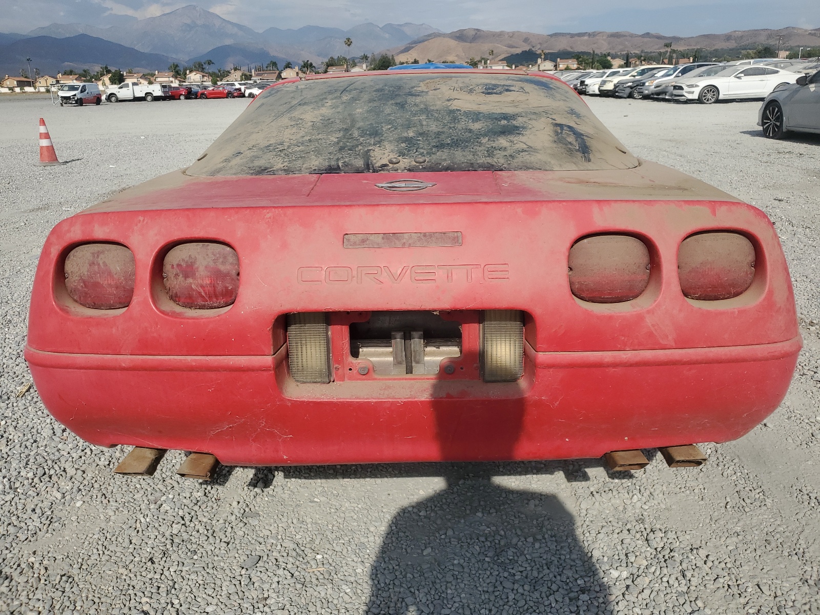 1G1YY2389M5100463 1991 Chevrolet Corvette