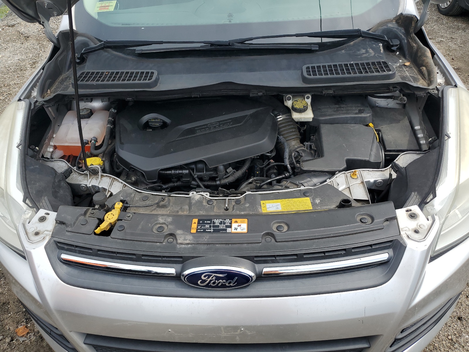 2014 Ford Escape Se vin: 1FMCU0GX9EUA52078