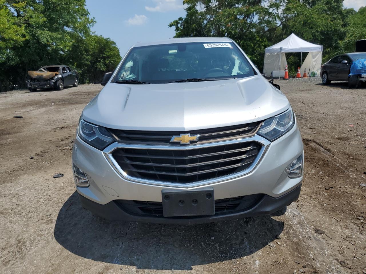 2018 Chevrolet Equinox Ls VIN: 3GNAXHEV9JS645850 Lot: 63200944