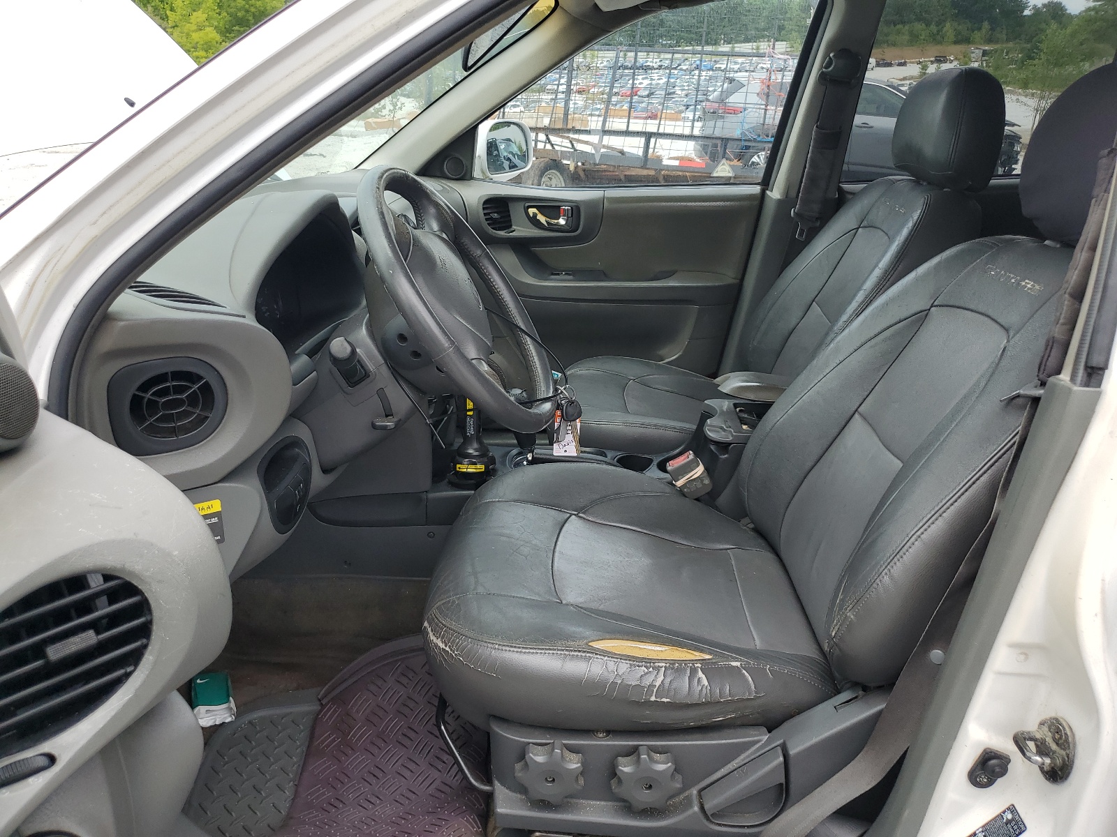 KM8SC13D23U438712 2003 Hyundai Santa Fe Gls