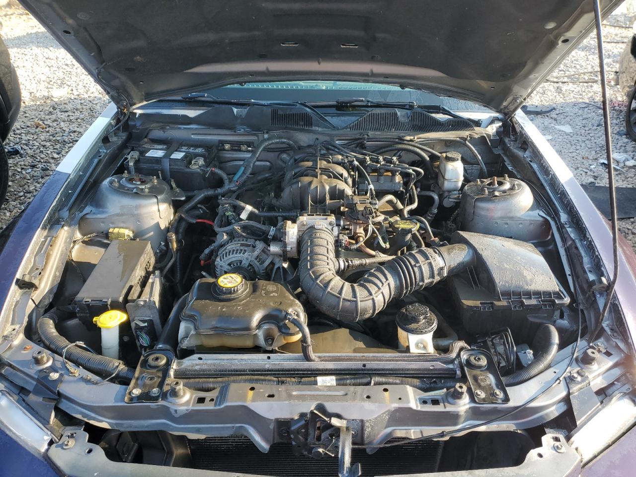 2010 Ford Mustang VIN: 1ZVBP8AN2A5121059 Lot: 62631174