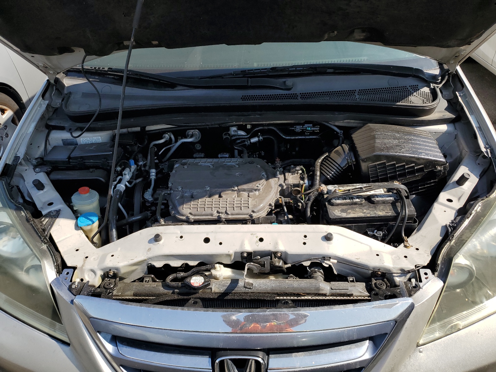 5FNRL38446B424332 2006 Honda Odyssey Ex