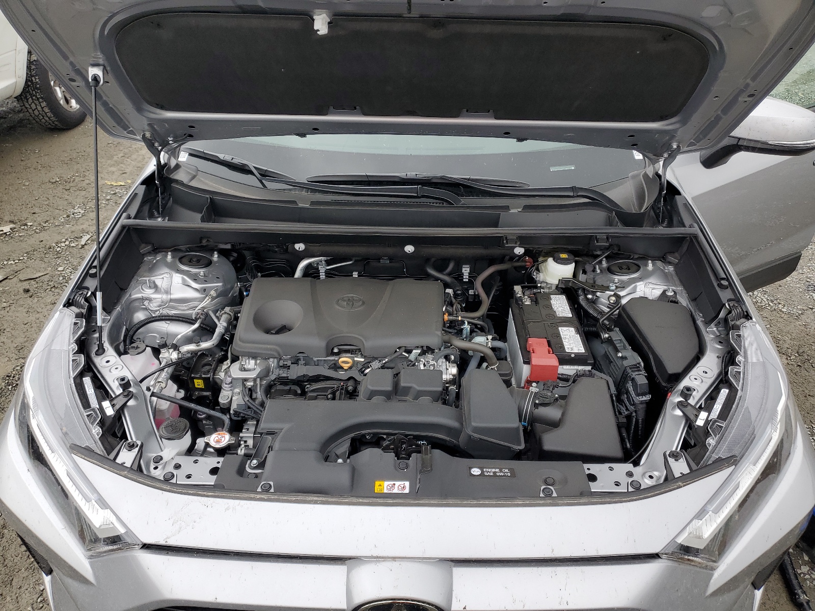 2T3W1RFV4RC283012 2024 Toyota Rav4 Xle