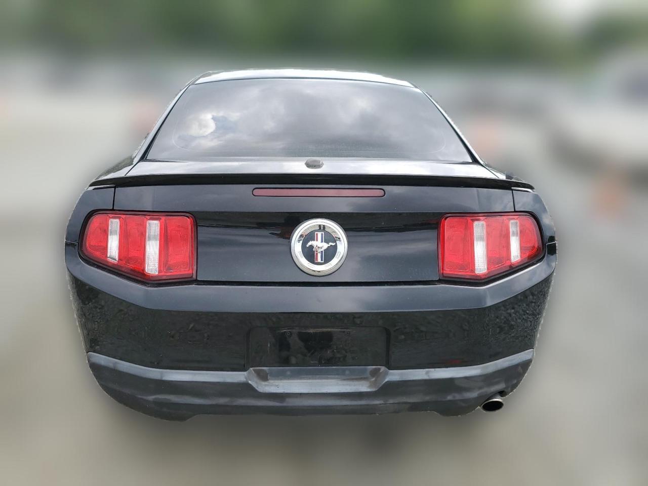2010 Ford Mustang VIN: 1ZVBP8ANXA5168646 Lot: 64037634