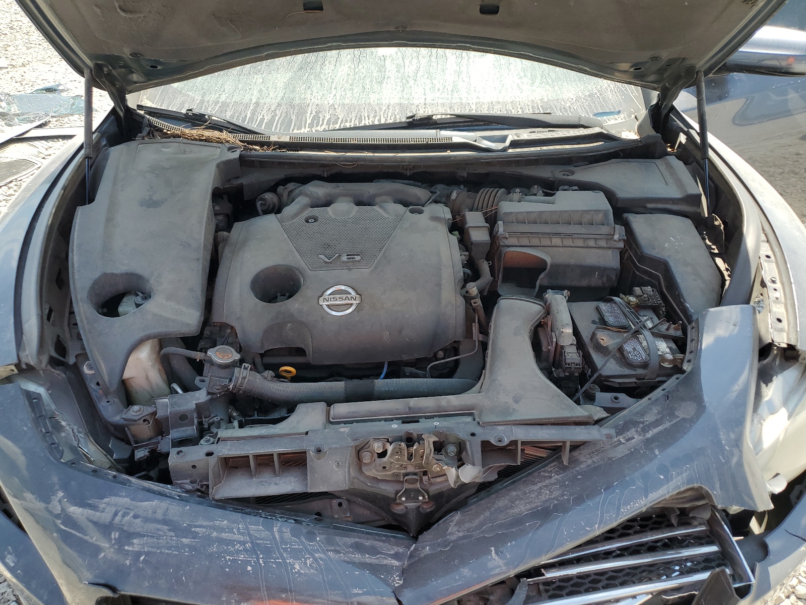 1N4AA5AP5AC802138 2010 Nissan Maxima S